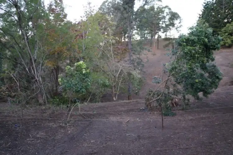 Sixth view of Homely land listing, 437 Pinnacle Road, Tyalgum NSW 2484