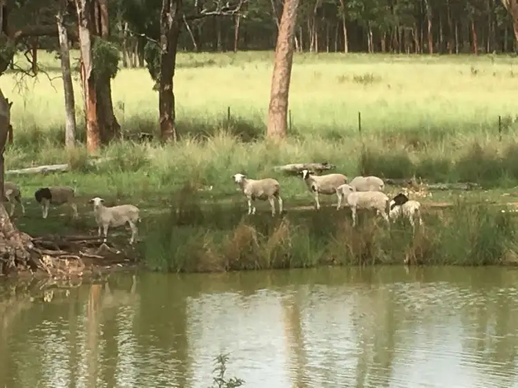 Seventh view of Homely rural property listing, Address available on request