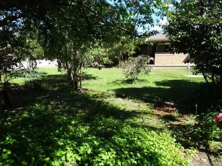 Seventh view of Homely house listing, 9 Spion Kopje Road, Bright VIC 3741