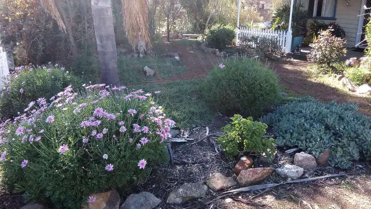 Seventh view of Homely house listing, 30 Day Street, Kulin WA 6365