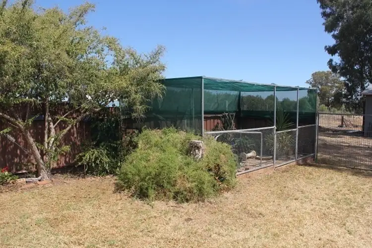 Sixth view of Homely land listing, 174 Caswell Street, Peak Hill NSW 2869