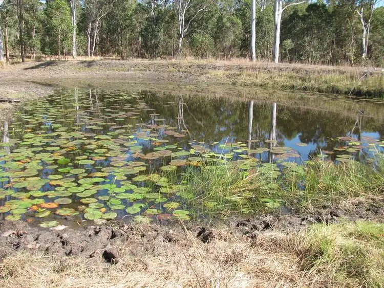 Sixth view of Homely rural property listing, 169 Mount Elmo Road, Colosseum QLD 4677