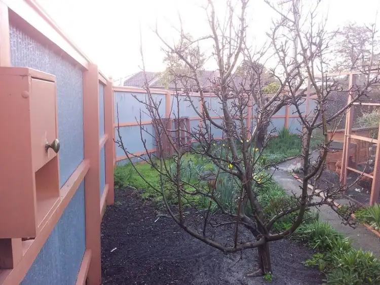 Fifth view of Homely house listing, 16 Isabella Street, Moorabbin VIC 3189
