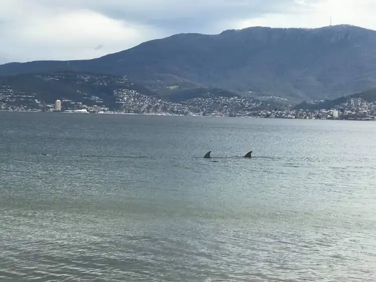 Fifth view of Homely apartment listing, 11/19 Howrah Road, Howrah TAS 7018