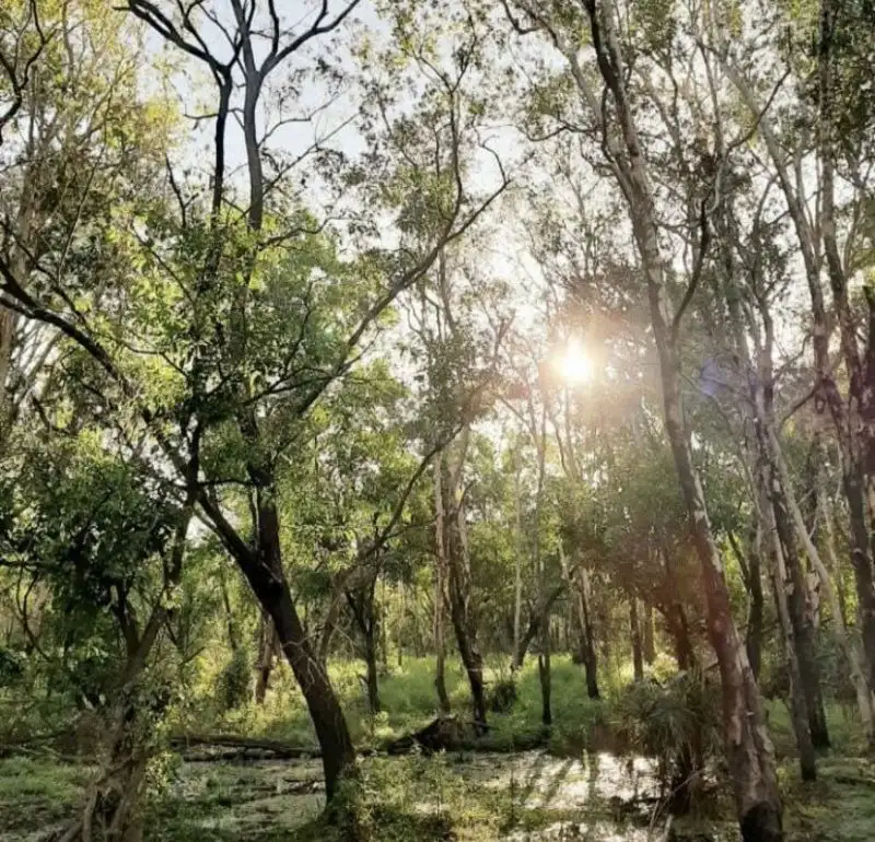 Main view of Homely house listing, 151 Hardcastle Rd, Bynoe NT 822