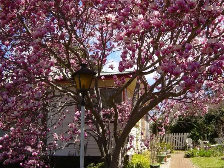 Second view of Homely house listing, 88 Macquarie Street, Glen Innes NSW 2370