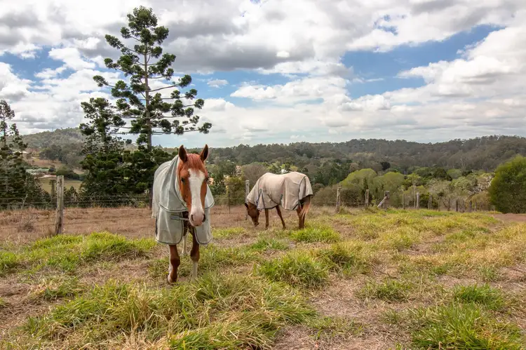 Third view of Homely rural property listing, 323 Grandview Road, Pullenvale QLD 4069