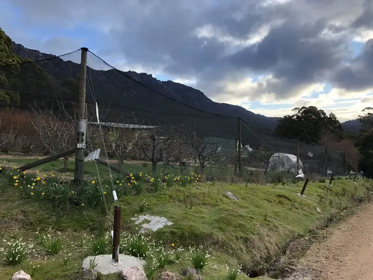 Second view of Homely rural property listing, 124 O'Neills Rd, Gowrie Park TAS 7306