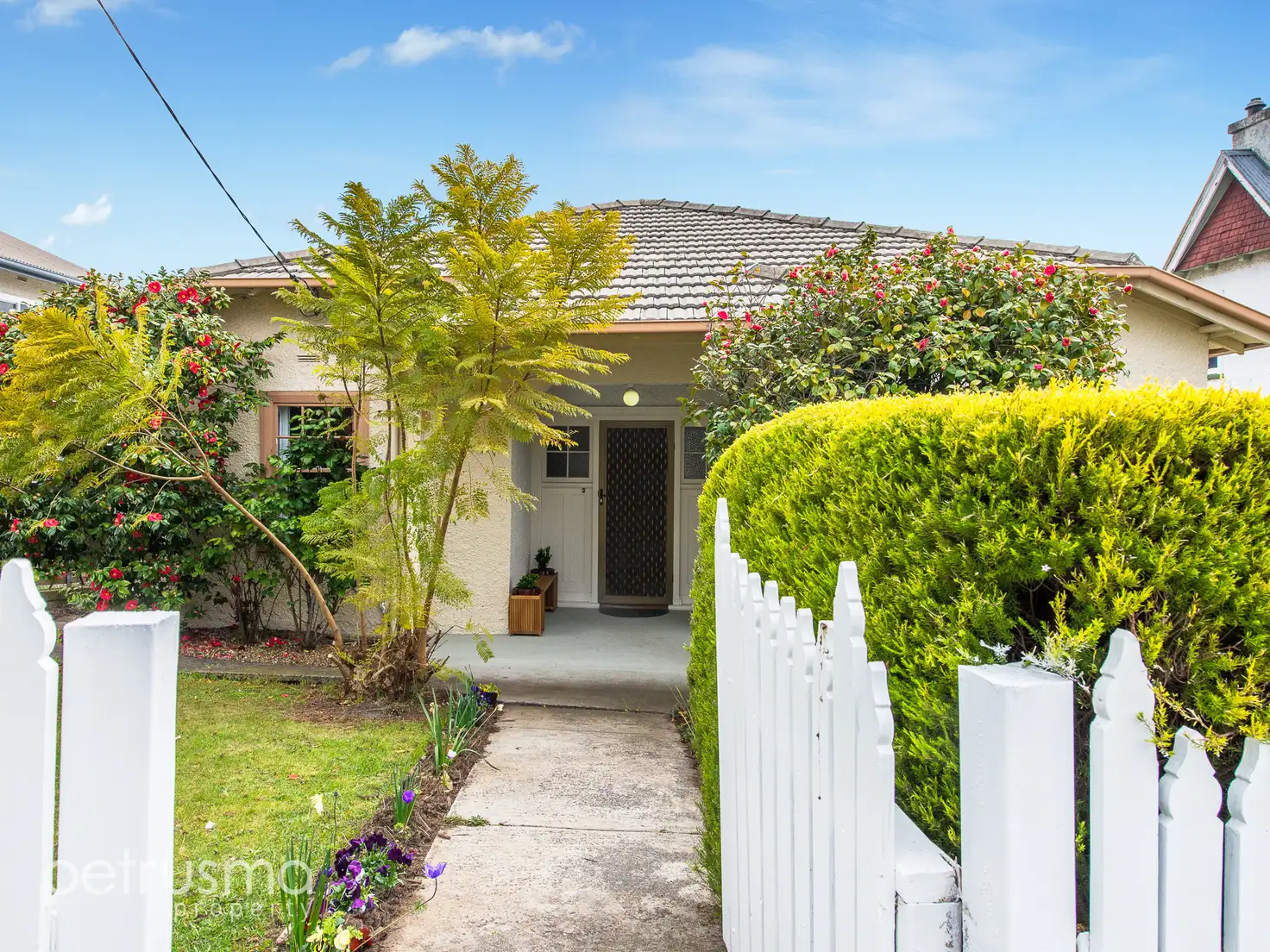Main view of Homely house listing, 7 Cook Street, Lutana TAS 7009