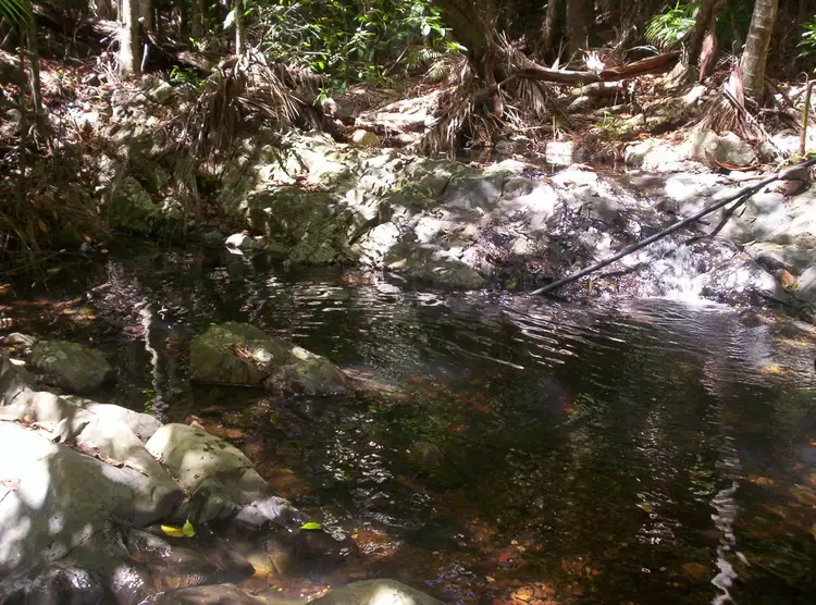 Second view of Homely land listing, 543 Upper Pinbarren Creek Road, Pinbarren QLD 4568