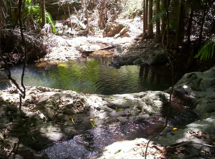 Third view of Homely land listing, 543 Upper Pinbarren Creek Road, Pinbarren QLD 4568