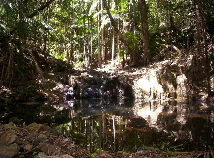 Fourth view of Homely land listing, 543 Upper Pinbarren Creek Road, Pinbarren QLD 4568