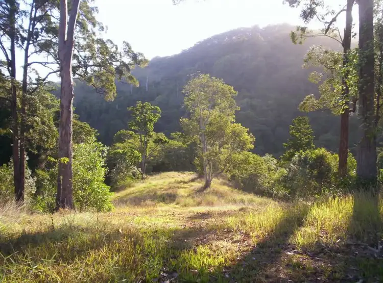 Sixth view of Homely land listing, 543 Upper Pinbarren Creek Road, Pinbarren QLD 4568