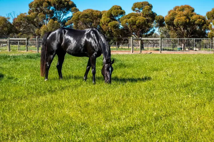 5499 Great Southern Hwy, York WA 6302