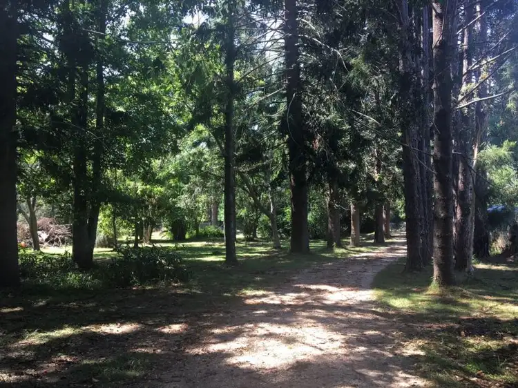 Second view of Homely rural property listing, 55 Crooks Valley Road, Crystal Creek NSW 2484