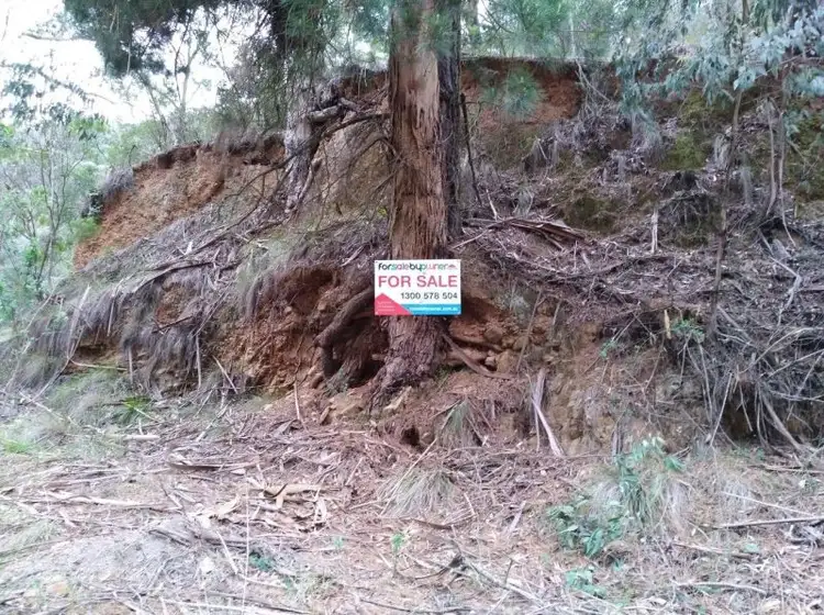 Fifth view of Homely land listing, 3 Happy Go Lucky Rd, Walhalla VIC 3825