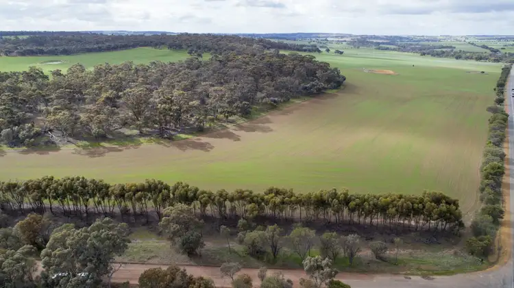 Lot 17139 Wandering-Pingelly Rd, Wandering WA 6308
