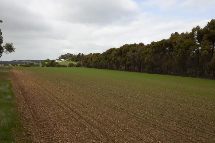 Sixth view of Homely rural property listing, Lot 17139 Wandering-Pingelly Rd, Wandering WA 6308