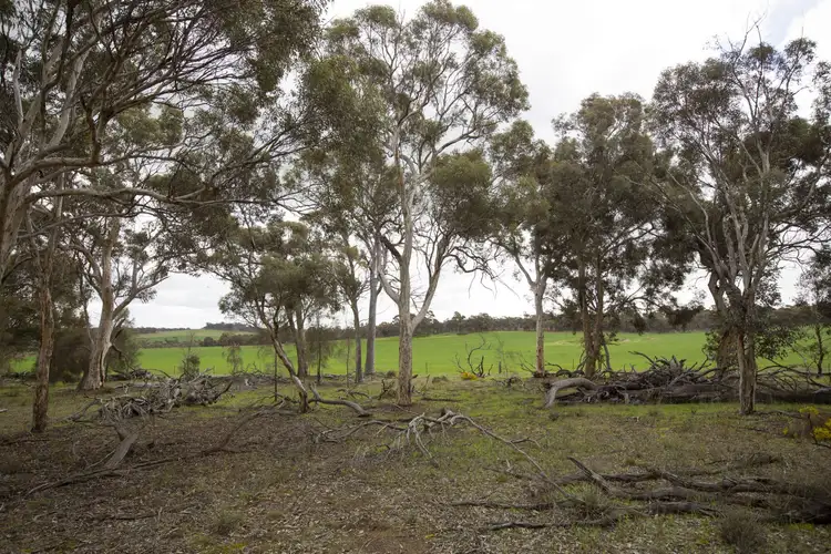 Seventh view of Homely rural property listing, Lot 17139 Wandering-Pingelly Rd, Wandering WA 6308