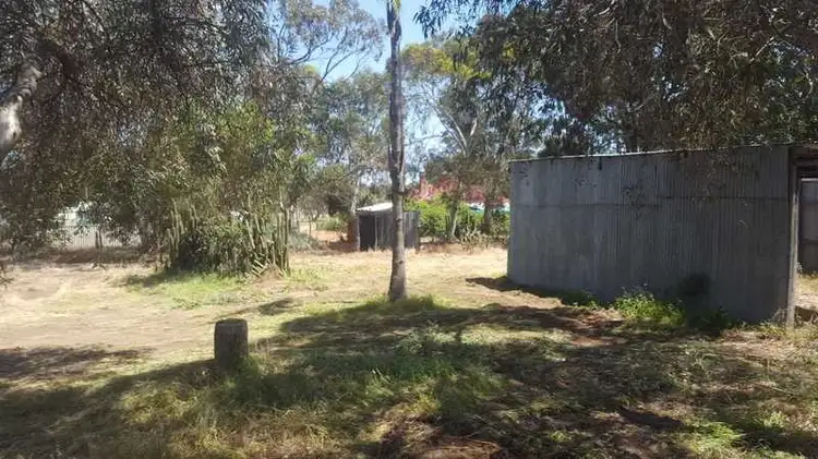 24 Raglan Street, Pingelly WA 6308