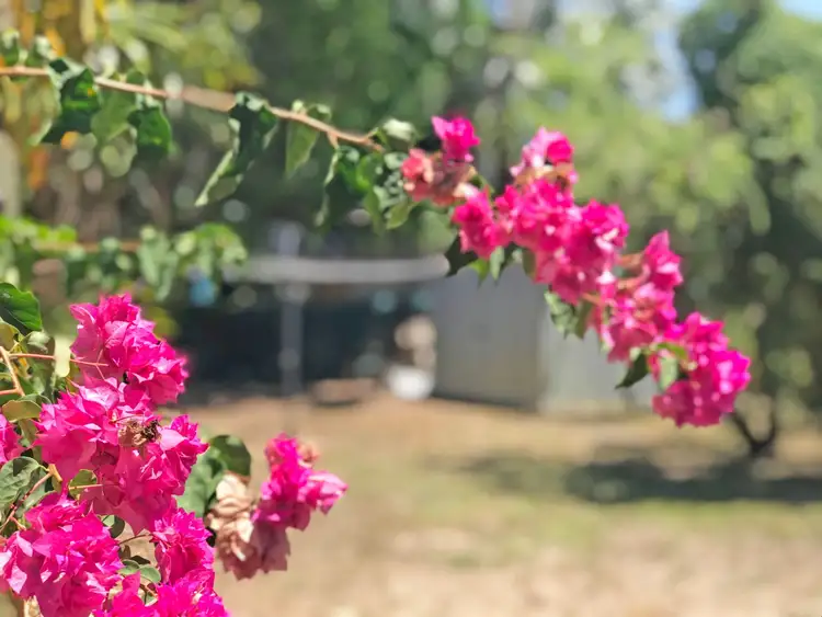 Third view of Homely house listing, 31 Oleander Street, Holloways Beach QLD 4878