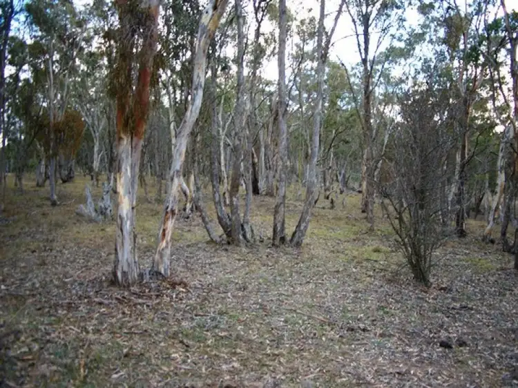 Second view of Homely land listing, Lot 231 Wollun Road, Walcha NSW 2354