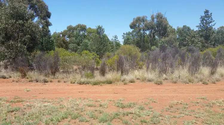 Main view of Homely land listing, 1 Urabba Street, Rankins Springs NSW 2669