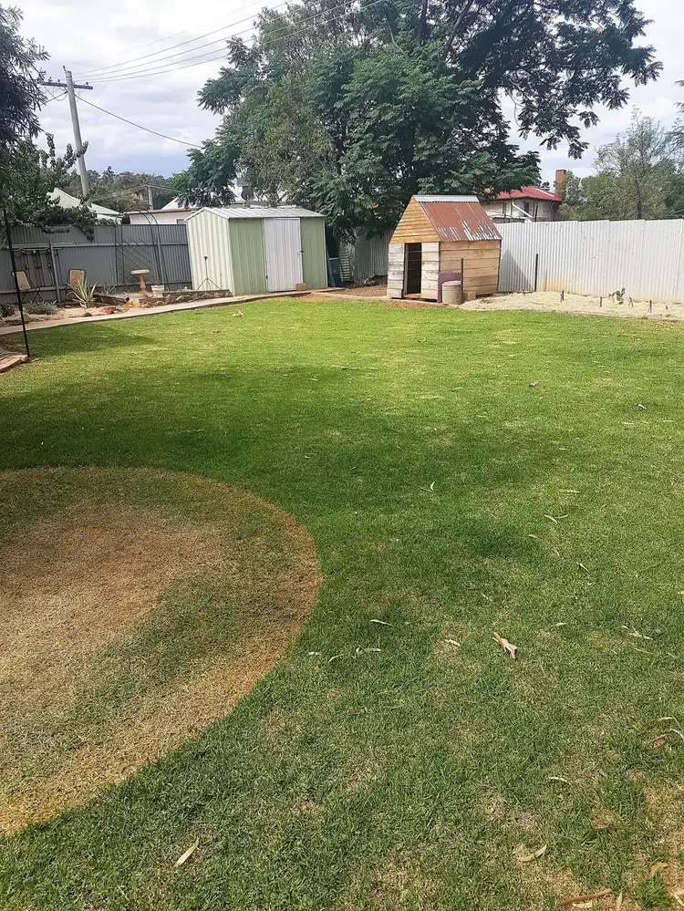 Seventh view of Homely house listing, 31 Curtin Street, Griffith NSW 2680