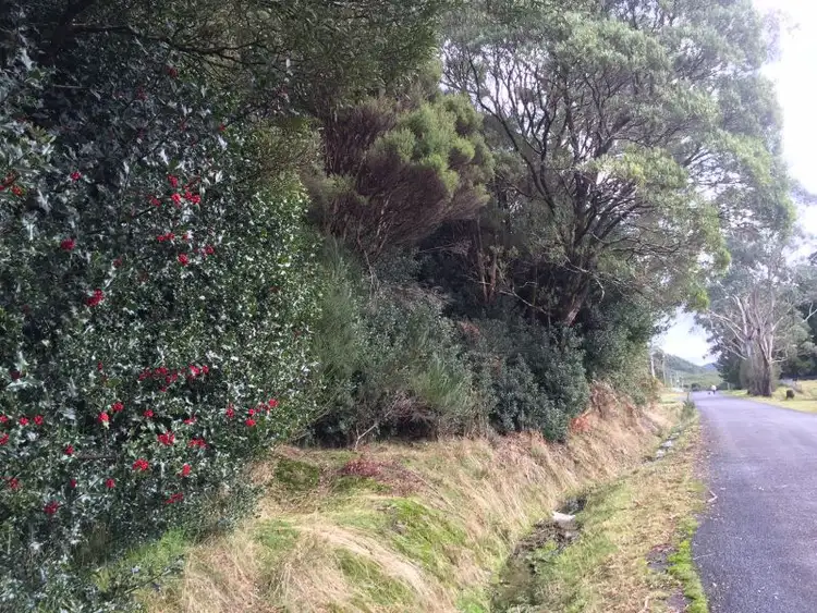 Fourth view of Homely land listing, 3 Pillinger Sr, Zeehan TAS 7469