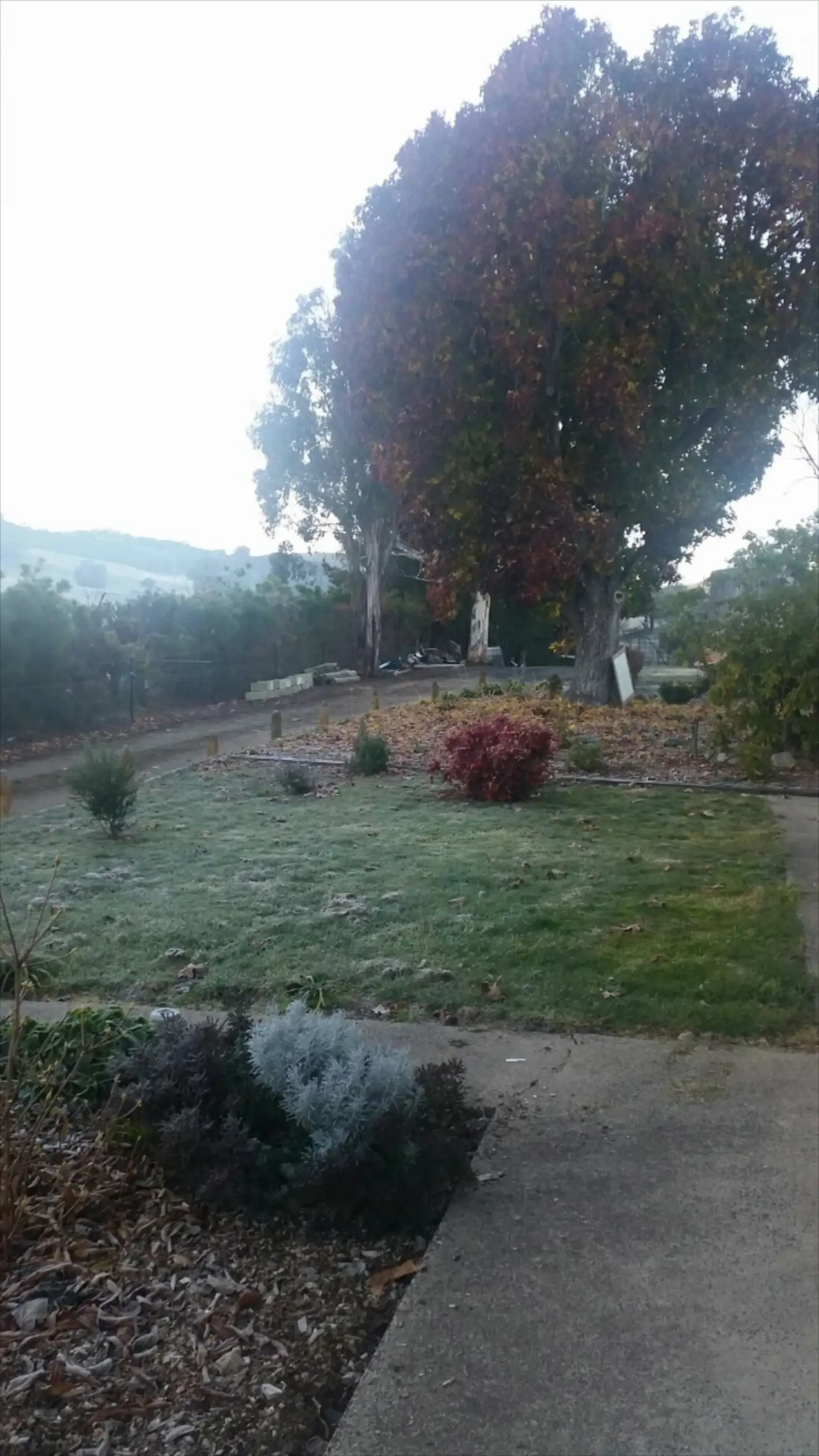 Main view of Homely house listing, 340 Batlow Rd, Tumbarumba NSW 2653