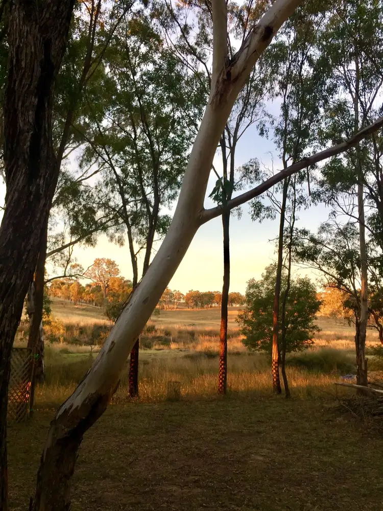 Main view of Homely rural property listing, 16756 Cunningham Highway, Thane QLD 4370