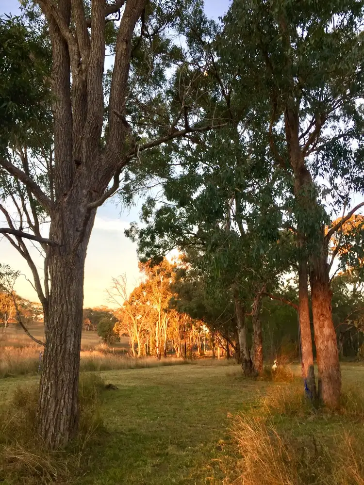 Second view of Homely rural property listing, 16756 Cunningham Highway, Thane QLD 4370