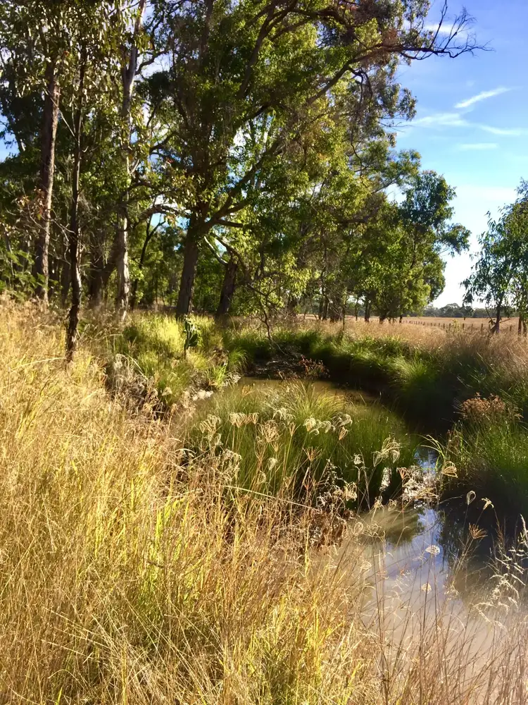 Fourth view of Homely rural property listing, 16756 Cunningham Highway, Thane QLD 4370