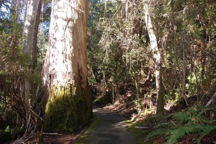Fifth view of Homely land listing, LOT lot 3, 3 Echo Valley Road, Liena TAS 7304