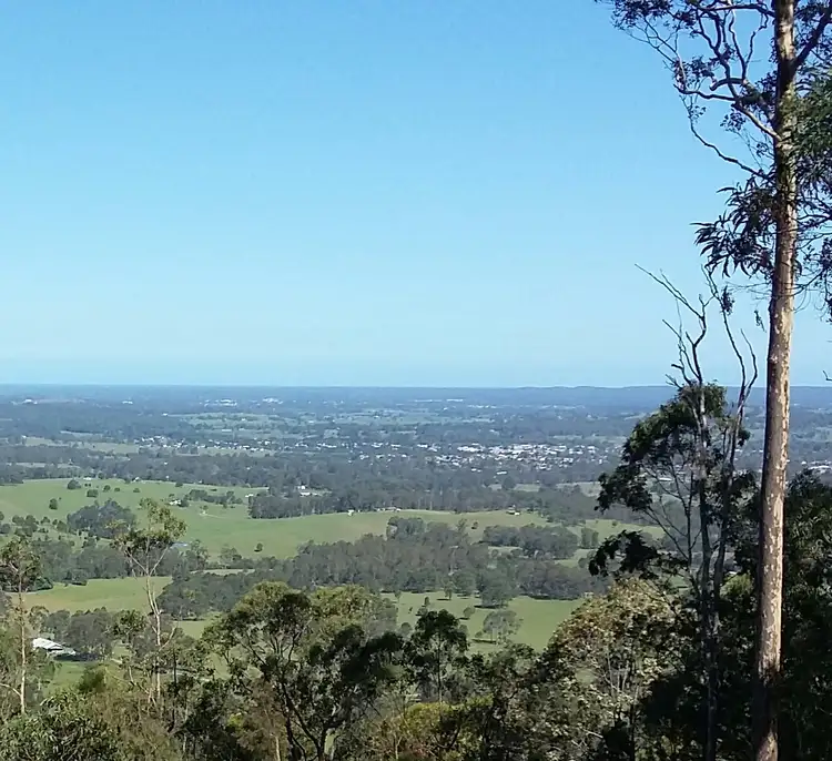 175 Wallabyjoe Road, Wingham NSW 2429