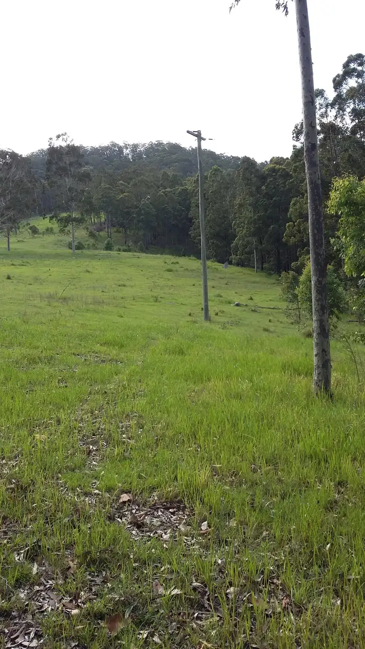 Sixth view of Homely rural property listing, 175 Wallabyjoe Road, Wingham NSW 2429