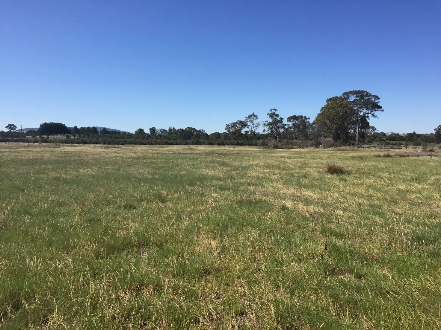 Main view of Homely rural property listing, 62 Olivers Lane West, Elphinstone VIC 3448