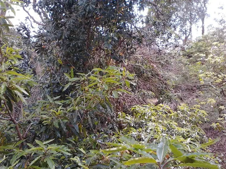 Fourth view of Homely apartment listing, 21/42 Evans Street, Freshwater NSW 2096