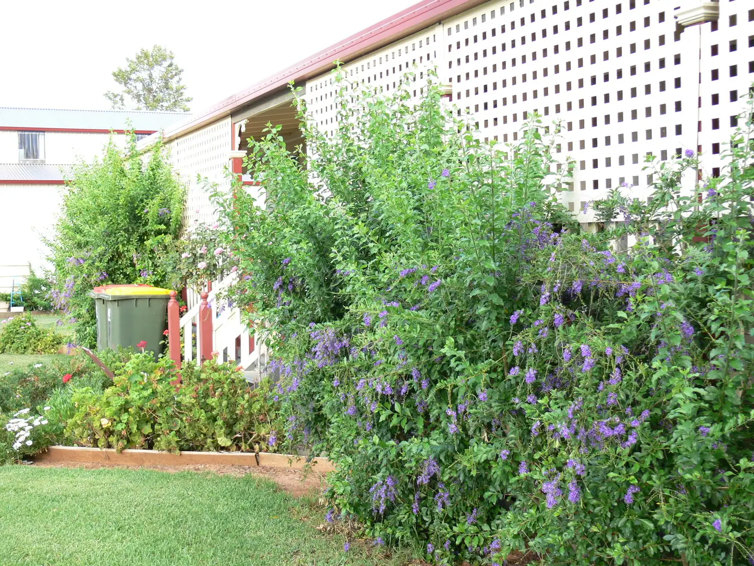 Main view of Homely house listing, 15 Willbe Street, Eugowra NSW 2806