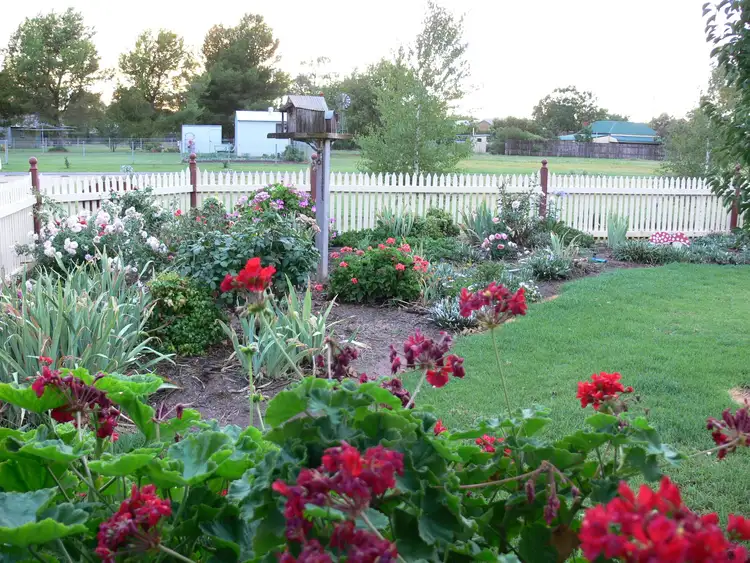 Seventh view of Homely house listing, 15 Willbe Street, Eugowra NSW 2806