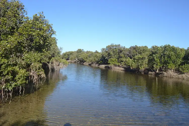 Seventh view of Homely land listing, 1215 Scenic Drive, Nelshaby SA 5540