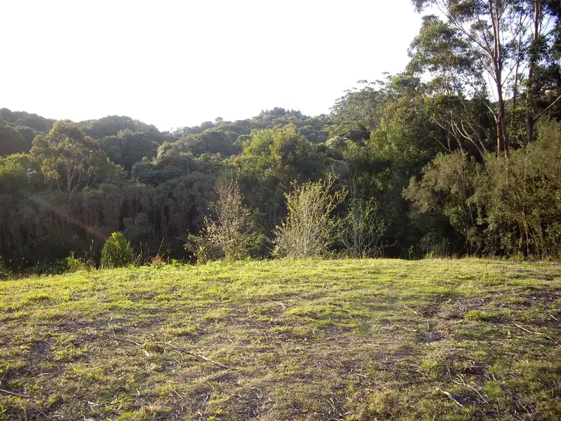 Main view of Homely land listing, 2675 Springbrook Road, Springbrook QLD 4213
