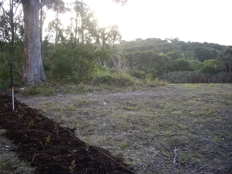 Seventh view of Homely land listing, 2675 Springbrook Road, Springbrook QLD 4213