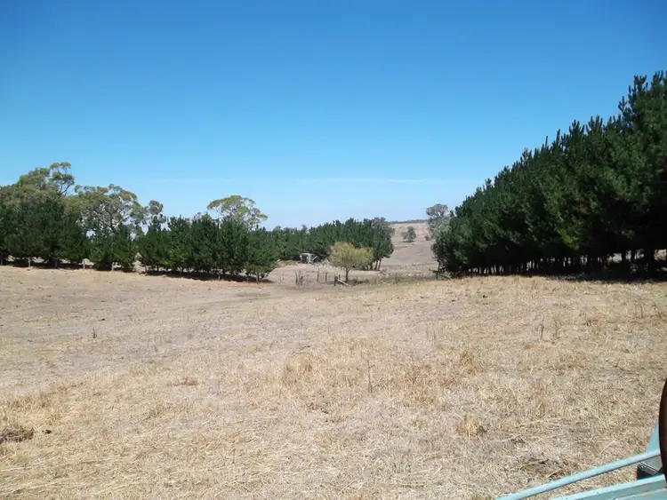 Sixth view of Homely rural property listing, 24 Herrmanns Road, Mount Torrens SA 5244