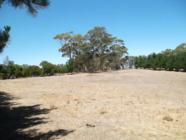 Seventh view of Homely rural property listing, 24 Herrmanns Road, Mount Torrens SA 5244