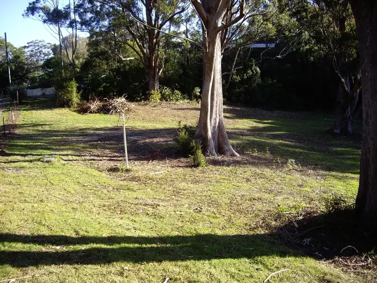 Fifth view of Homely rural property listing, 27 Ee-jung Road, Springbrook QLD 4213