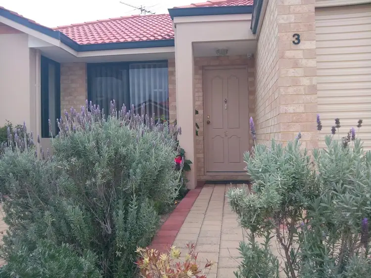 Main view of Homely unit listing, 3/15 Moldavia St, Tuart Hill WA 6060