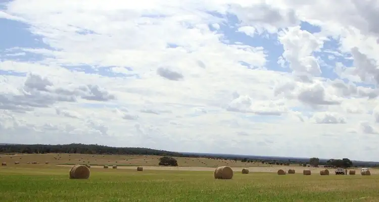 Sixth view of Homely rural property listing, 1105 Coorow Green Head Road, Coorow WA 6515