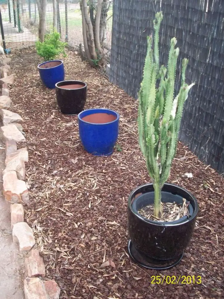 Third view of Homely house listing, 6 EVERGREEN ST, Mount Isa QLD 4825