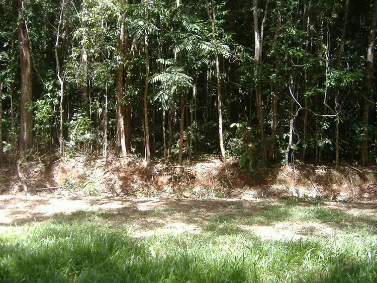 Main view of Homely land listing, 512 Silver Ash Road, Cow Bay QLD 4873